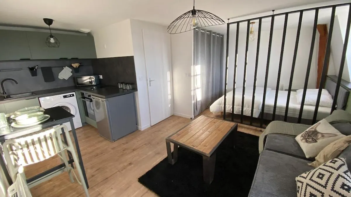 Apartment Studio Hypercentre De Roanne - 10 Train Station France